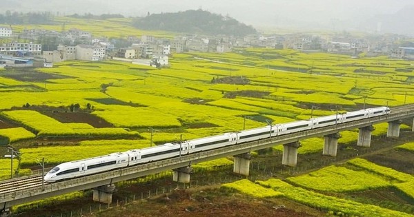 Rút ruột công trình, thuê thầu phụ trái phép, làm giả giấy tờ: Loạt nhà thầu đường sắt cao tốc Trung Quốc bị xử phạt