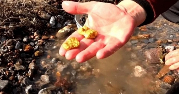 Lão nông phát hiện cả núi vàng trong hang, đem đến ngân hàng đổi lấy tiền thì cảnh sát ập đến