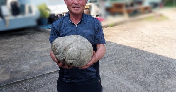 Ông lão nông dân nhặt được kho báu tiền tỷ khi đi cắt cỏ