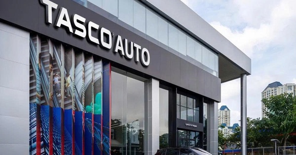 Chứng khoán Quốc Gia muốn thoái toàn bộ vốn tại Tasco