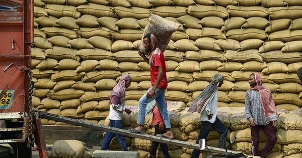 Việt Nam, Thái Lan chú ý: Quốc gia sản xuất gạo lớn thứ 3 thế giới tuyên bố quay lại nhập khẩu từ Ấn Độ, giá rẻ chưa từng thấy