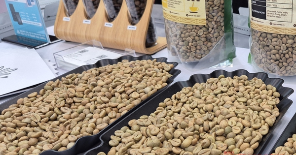 Giá cà phê hôm nay 26-12: Trong nước tăng nóng, Trung Quốc bất ngờ nhập nhiều