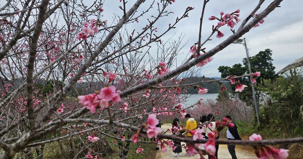 Hàng không, du lịch khẩn trương đổi lịch đón khách dịp Tết Dương lịch 2026