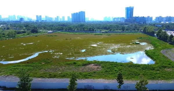 Bảng giá đất mới có giúp TPHCM dễ đền bù, giải phóng mặt bằng?