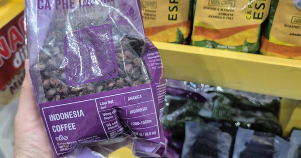 Giá cà phê hôm nay 29-12: Vì sao Việt Nam chi hơn nửa tỉ USD nhập cà phê?