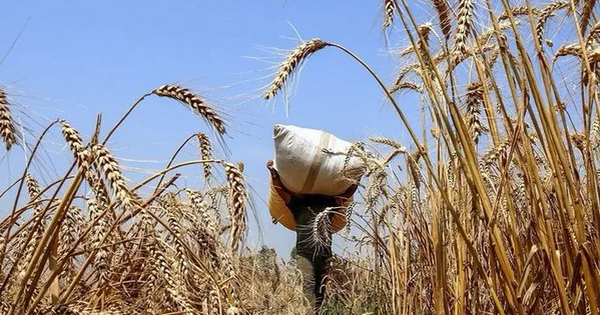 Giá hàng hóa có thể chạm đáy mới vào năm 2026