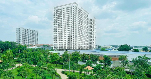 Chung cư Benhill thử nghiệm mô hình “sống thử” cho khách mua ở thực