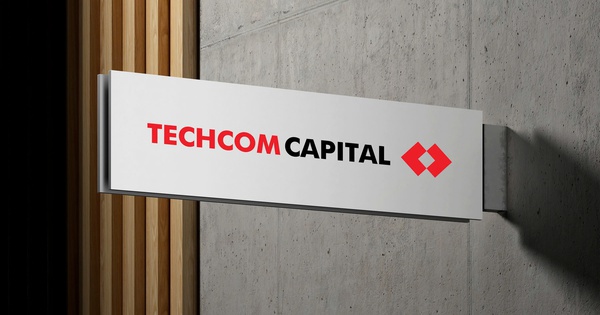 Quỹ cổ phiếu của Techcom Capital đạt hiệu suất đột phá khi VN-Index bứt tốc