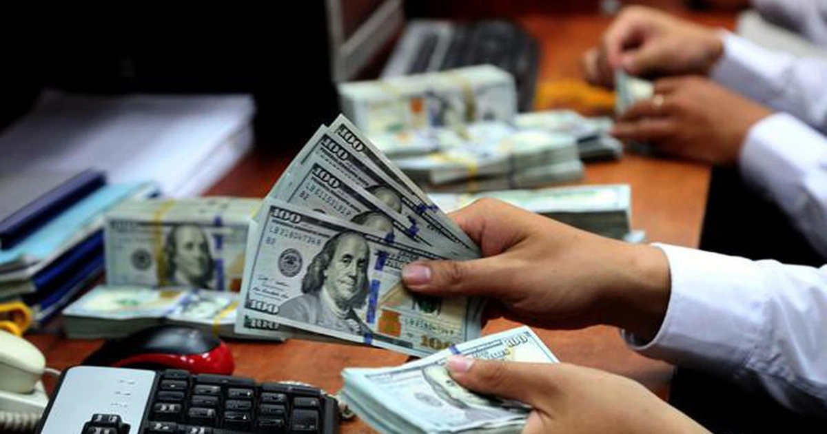 Giá USD hôm nay 14.12.2025: Đô tự do lao dốc