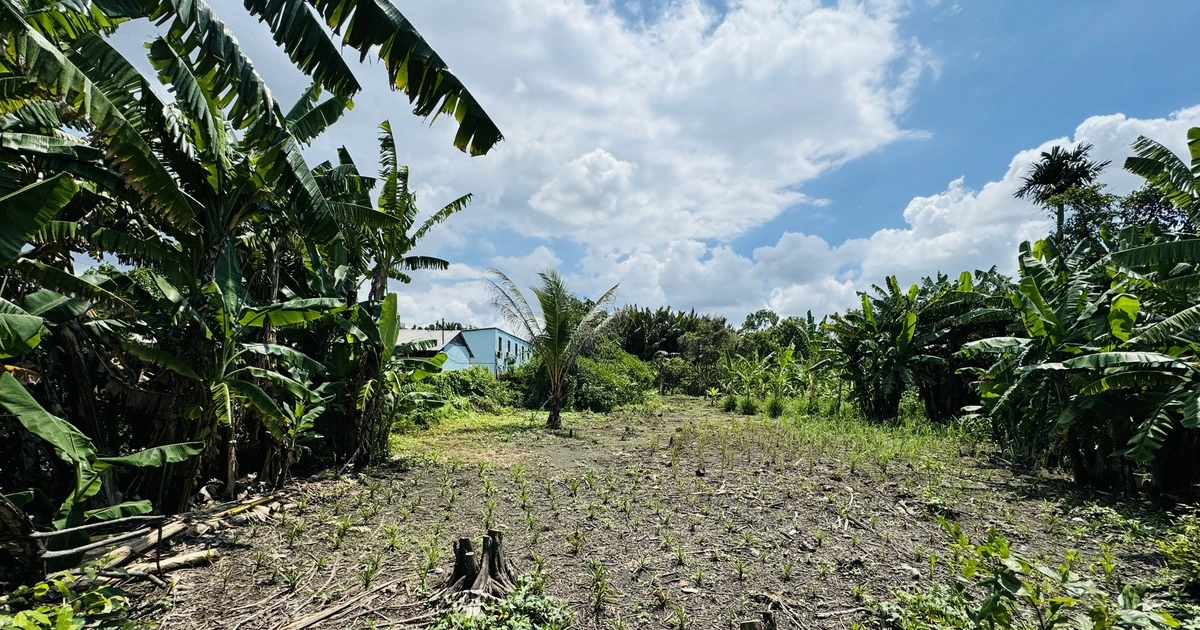 Kiến nghị tăng giá đất nông nghiệp