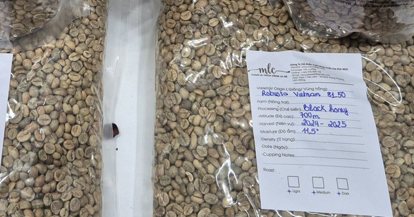 Giá cà phê hôm nay 2-1: Mốc 5.000 USD/tấn rất khó trở lại