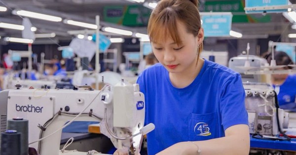 TNG lập kỷ lục mới về doanh thu, doanh nghiệp dệt may đón 2026 với triển vọng tích cực
