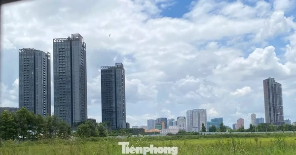 TPHCM xây dựng hệ số điều chỉnh bảng giá đất ra sao?