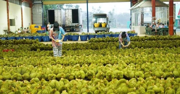 Thái Lan đón tin không vui