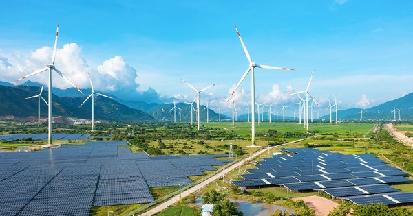 Trung Nam báo tin vui