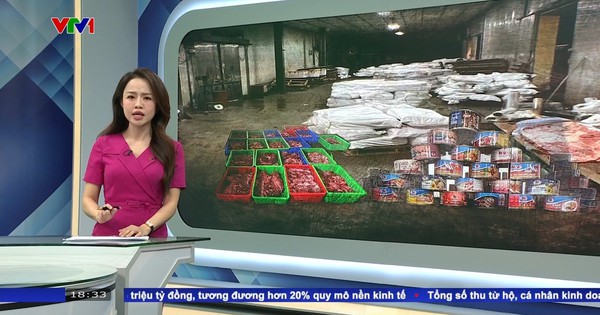 Vụ 120 tấn thịt lợn bốc mùi tập kết tại kho của Đồ hộp Hạ Long: Công an Hải Phòng chính thức khởi tố