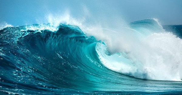 Kỳ vọng sóng thoái vốn sẽ bùng nổ như giai đoạn 2016-2018, chuyên gia chỉ ra loạt doanh nghiệp đáng chú ý