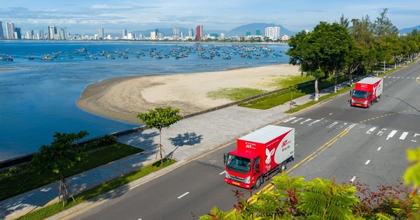 Hành trình thầm lặng phía sau mỗi tổ yến