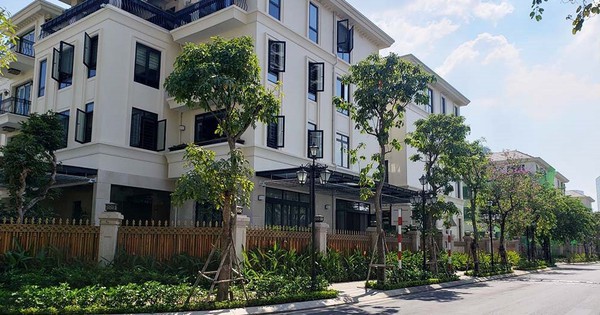 Giá nhà liền thổ TPHCM giảm gần một nửa khi chủ đầu tư đẩy mạnh chiết khấu