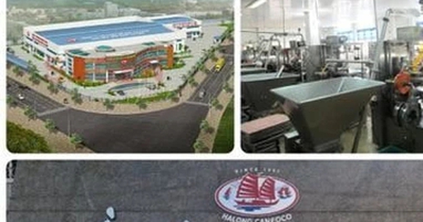 Bắt Tổng Giám đốc Công ty CP Đồ hộp Hạ Long vụ thịt nhiễm virus bệnh dịch tả heo châu Phi