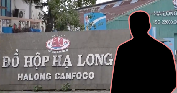 Tổng giám đốc Đồ hộp Hạ Long vừa bị bắt là ai?