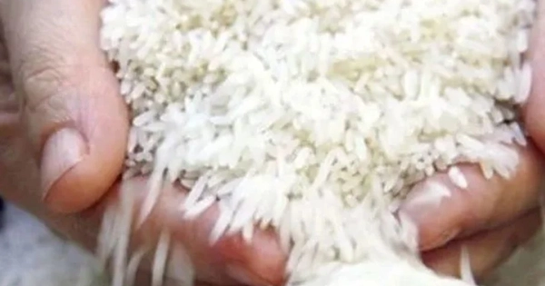 Giá gạo Nhật Bản lập kỷ lục mới