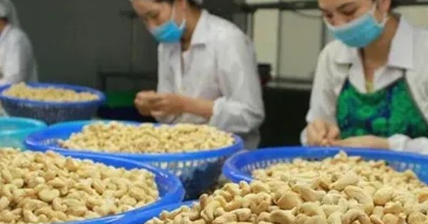 Xuất khẩu hạt điều lần đầu tiên vượt 5 tỷ USD