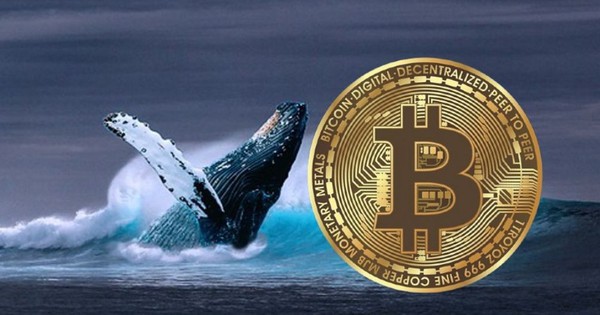 Thị trường tiền số hôm nay, 11-1: "Cá voi" Bitcoin bất ngờ quay xe