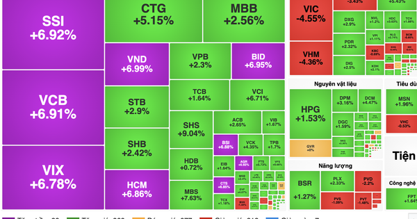 Chuyên gia lý giải nguyên nhân cổ phiếu ngân hàng, chứng khoán tím lịm sáng 12-1