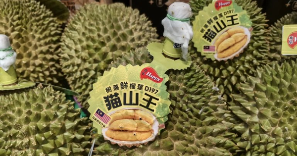 Sầu riêng tại một quốc gia Đông Nam Á bất ngờ gặp khó: Nguồn cung dư thừa khiến giá giảm mạnh, vừa tăng nhập khẩu từ Việt Nam gấp 5 lần