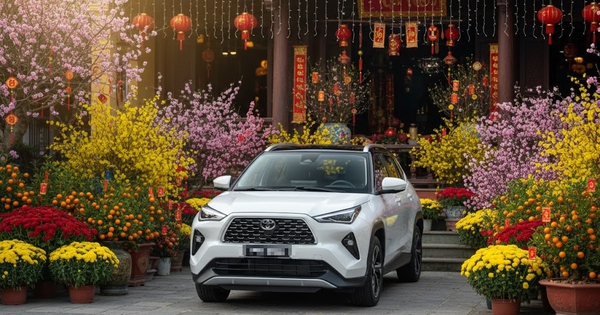 Phí trước bạ ô tô tăng bất thường ở Đà Nẵng, cơ quan thuế nói do sơ suất