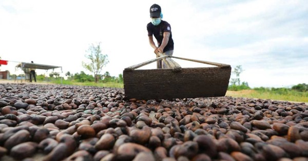 Việt Nam vừa lập kỷ lục chưa từng có với mặt hàng xuất khẩu top 1 thế giới, Trung Quốc và Mỹ có đóng góp lớn