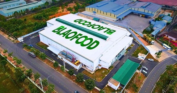 Công ty Việt Nam đầu tiên xuất khẩu nông sản đông lạnh ra thế giới chốt ngày chào sàn HOSE, giá tham chiếu 40.900 đồng/cp