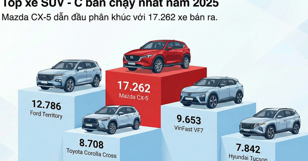 Làm 'vua' ở đâu chứ bước vào phân khúc này, xe điện VinFast của tỷ phú Phạm Nhật Vượng vẫn phải đứng sau 2 mẫu xe xăng đình đám