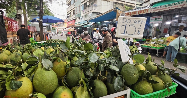 Giá bưởi da xanh bất ngờ rẻ ngay trước tháng Chạp