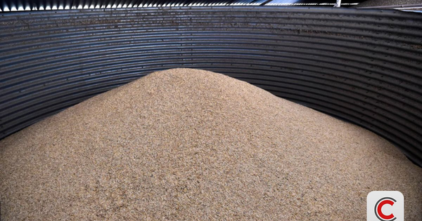 Nhiều quốc gia ráo riết dự trữ ngũ cốc, đổ hàng chục tỷ USD xây kho tích trữ lương thực