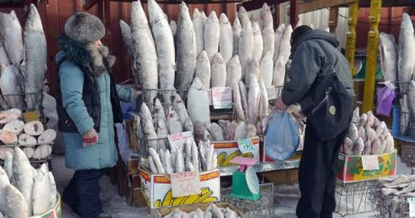 Không phải dầu thô hay khí đốt, một mặt hàng của Nga được người châu Âu cực mê: Chi hơn 700 triệu euro mua hàng, giá cao nhất trong nhiều năm