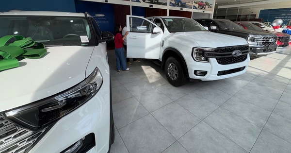 Xe bán tải sôi động trước sóng tăng giá