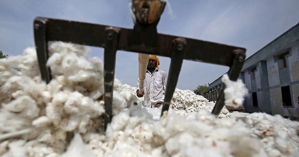 Xuất khẩu sang Trung Quốc trượt dốc mạnh, Mỹ ồ ạt đưa một mặt hàng vào Việt Nam, nước ta tiêu thụ 1,5 triệu tấn/năm