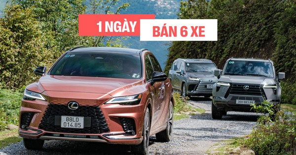 Mỗi ngày người Việt chốt 6 chiếc Lexus trong năm qua, đẩy doanh số hãng tại Việt Nam lần đầu vượt mốc 15.000