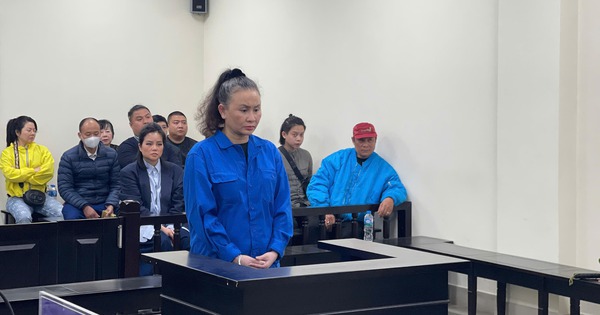 'Hứa' mua hộ biệt thự, chiếm đoạt gần 230 tỷ đồng, nữ bị cáo lãnh án chung thân