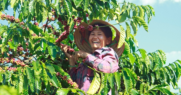 Việt Nam - quốc gia sở hữu "kho báu đen" vừa phá kỷ lục 8,4 tỷ USD - nhận tin vui