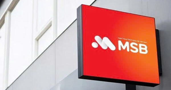 VMSC muốn bán ra gần 2,5 triệu cổ phiếu MSB