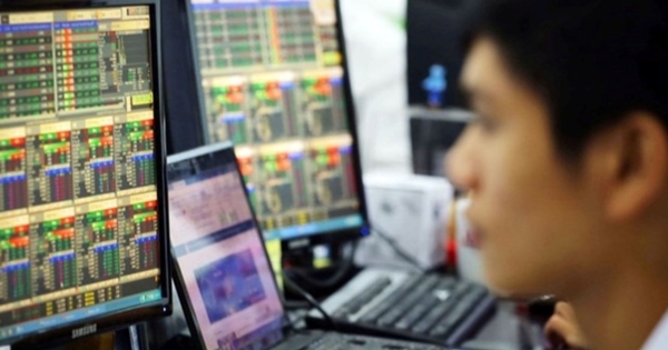 Vì sao phó Tổng giám đốc Công ty cổ phần Sông Đà 2 bị xử phạt?