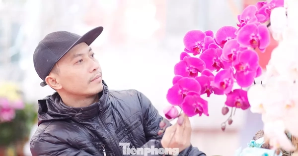 'Hái ra tiền' nghề cắm hoa Tết, cao điểm thu 4-5 triệu đồng/ngày