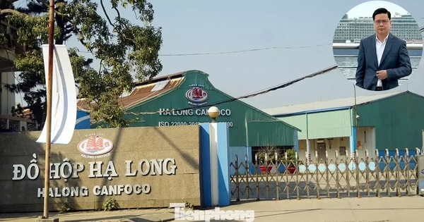 Công ty Đồ hộp Hạ Long bị 'tuýt còi'