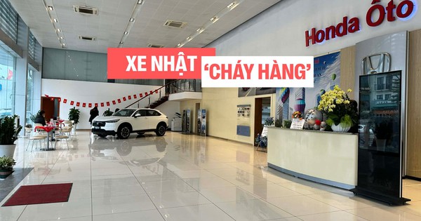 Xe Nhật 'cháy hàng' trước Tết: Người Việt mua ô tô giờ phải… xếp hàng chờ