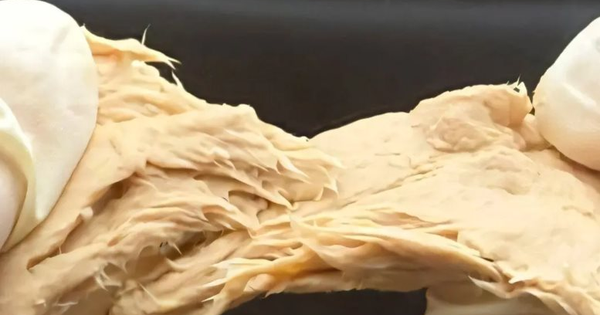 Phát minh của Trung Quốc làm rung chuyển ngành thực phẩm: Chế tạo ra nấm biến đổi gen vị giống thịt, sử dụng ít hơn 70% đất so với chăn nuôi truyền thống