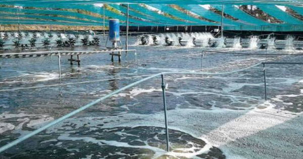 Không phải đất hiếm, Mỹ, Trung Quốc đang đua nhau săn một kho báu của Việt Nam: Nước ta là ông lớn đứng thứ 3 thế giới, xuất khẩu lập đỉnh 4,5 tỷ USD