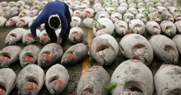 Không phải sầu riêng, một ‘siêu thực phẩm’ của Việt Nam được Mỹ và châu Âu cực ưa chuộng: Thu về 924 triệu USD, nước ta xuất khẩu đứng top thế giới